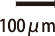 100マイクロメートル