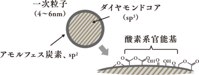 一次粒子（4～6nm）の断面図。中心にダイヤモンドコア（sp³）と記載され、その周囲をアモルフェス炭素、sp²”が囲む構造。粒子の表面には酸素系官能基が付加されていることを示す説明図。