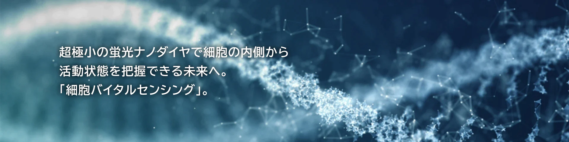 超極小の蛍光ナノダイヤで細胞の内側から活動状態を把握できる未来へ。「細胞バイタルセンシング」。