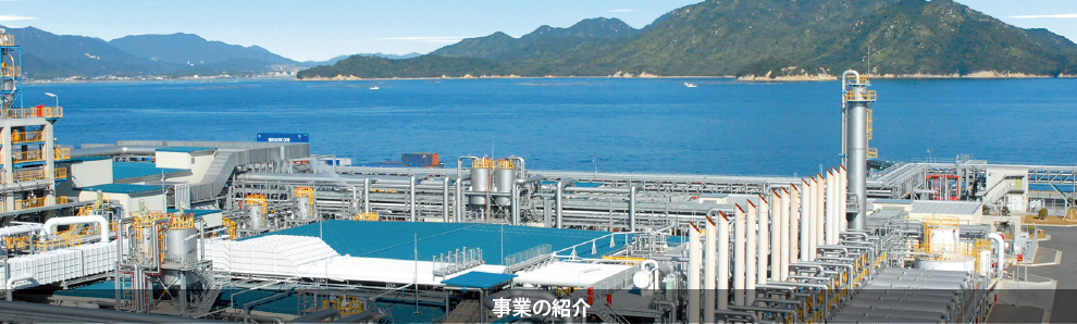 事業紹介