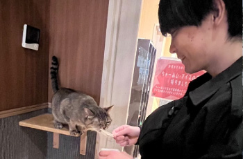 毎週末、必ず新しい体験をすること！